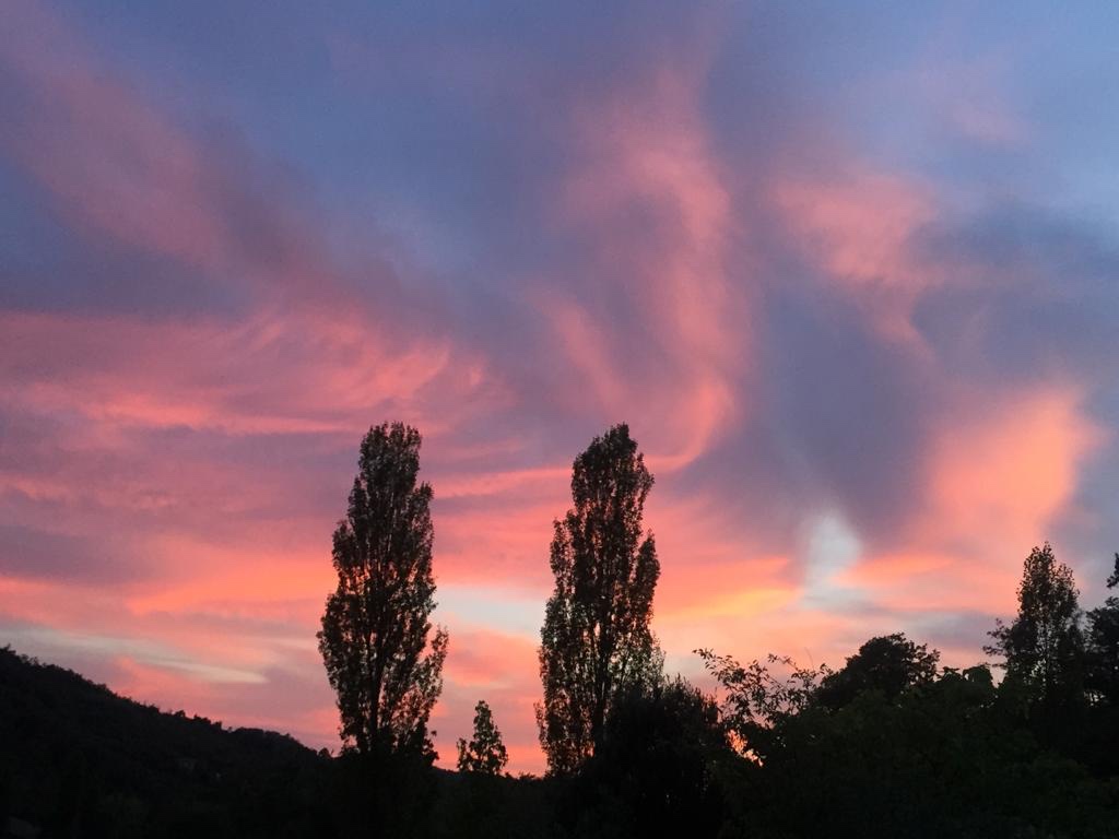 40b1d7fe-ccf5-4424-bc07-b5256ca0b317